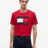 T-shirt com logótipo de bandeira grande T-shirt com logótipo de bandeira grande