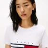 T-shirt com logótipo de riscas com bandeira bordado