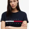 T-shirt com logótipo de riscas com bandeira bordado