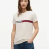 T-shirt com logótipo de riscas de bandeira bordado