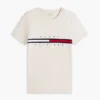 T-shirt com logótipo de riscas de bandeira bordado