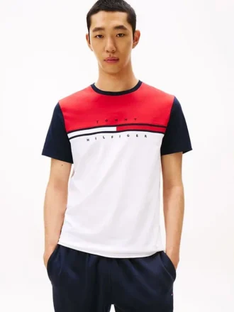 T-shirt com logótipo de riscas e bandeira em blocos de cor