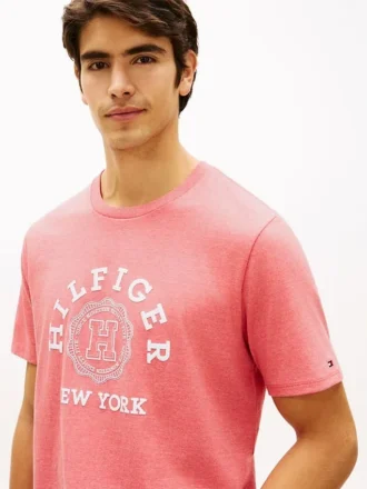 T-shirt com logótipo Hilfiger Arch