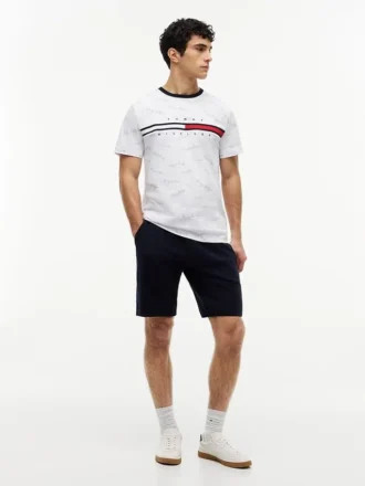T-shirt com logótipo Signature Flag Stripe