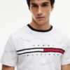 T-shirt com logótipo Signature Flag Stripe
