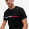 T-shirt com logótipo Signature Flag Stripe
