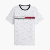 T-shirt com logótipo Signature Flag Stripe