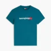 T-shirt com logótipo Tommy Jeans