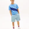 T-shirt infantil com riscas e bandeira com monograma